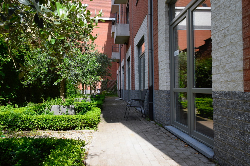 Jardin