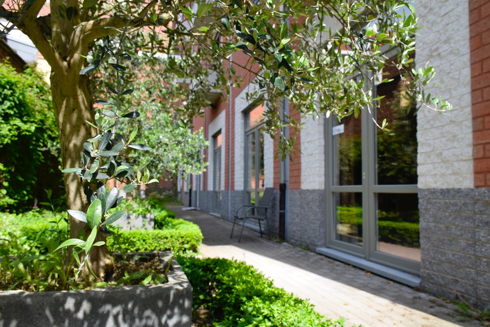 Jardin